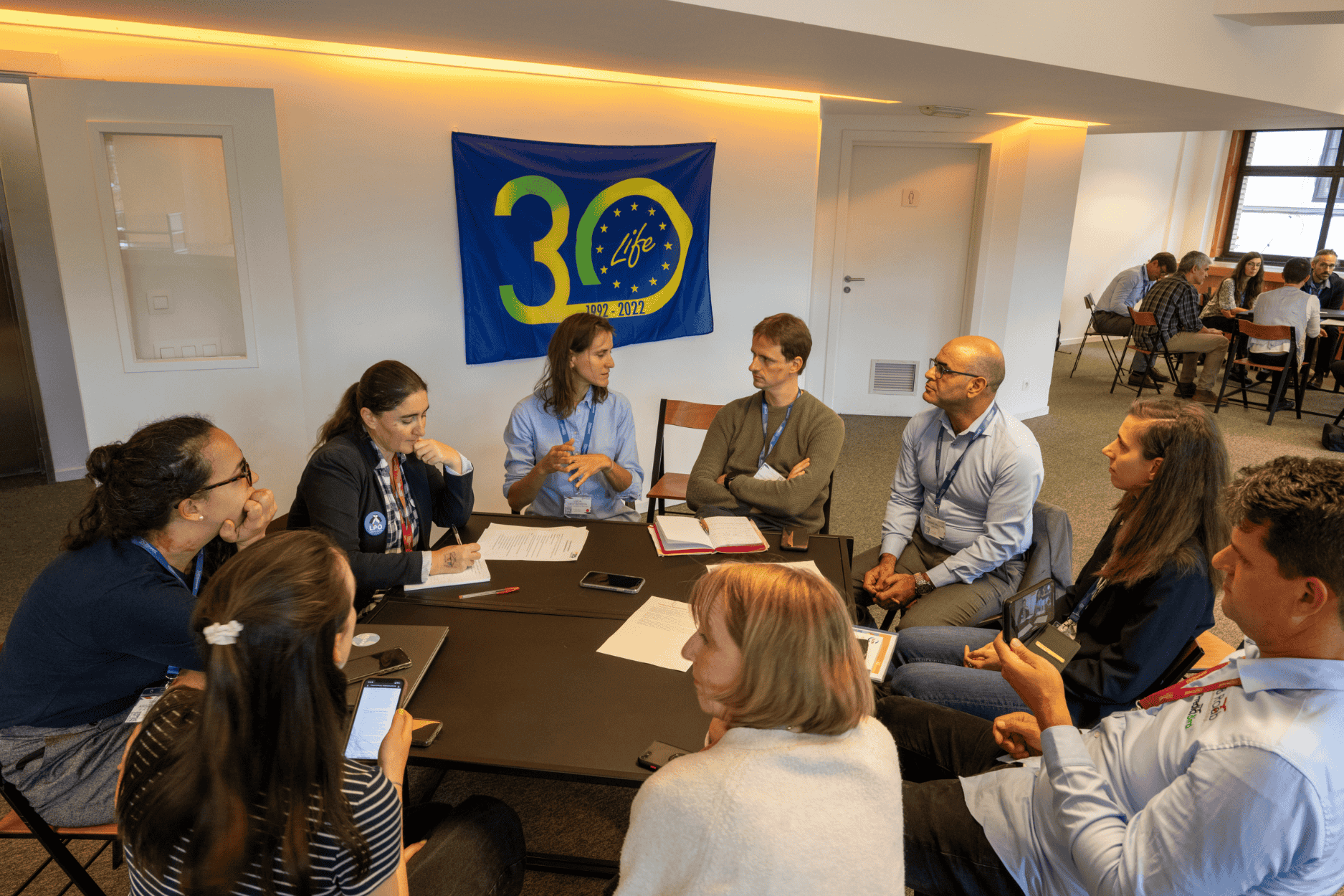 Wingspan conference 2024